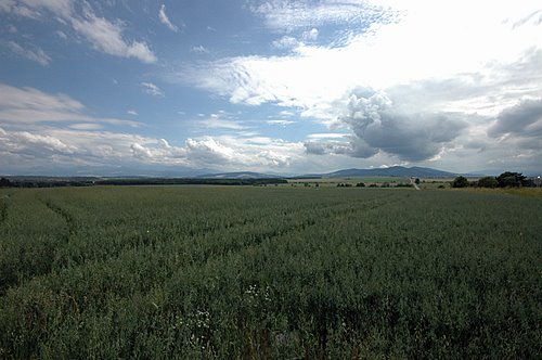 dsc_7807