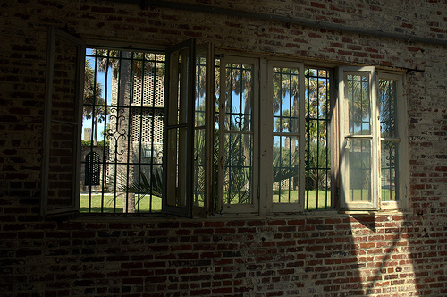 DSC_2033