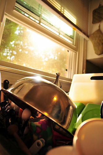 Morning Chores