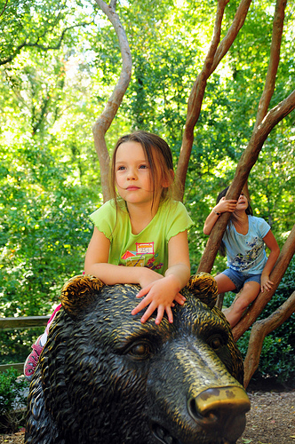 Two Monkeys and a Bear