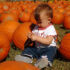 A Little Girl and Some Pumpkins