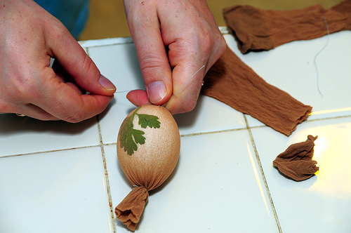 Egg Design