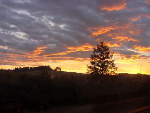 Sunrise