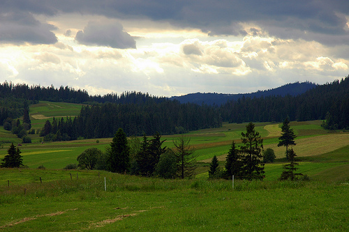 DSC_3617