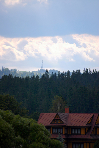 DSC_3638
