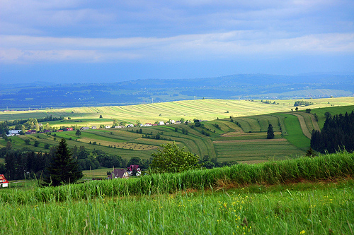 DSC_3687
