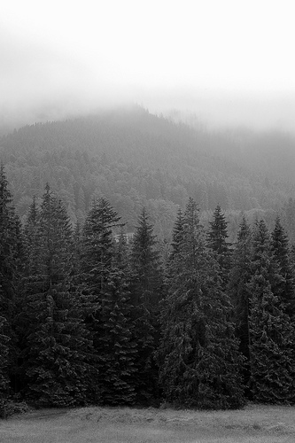 DSC_3958