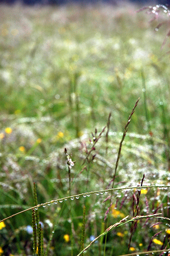 DSC_3916