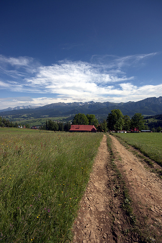 The Road Home