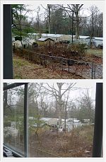 Neighbors in south Asheville