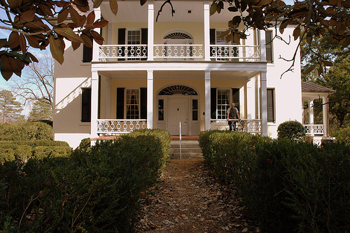 Dziadek at Rose Hill Plantation