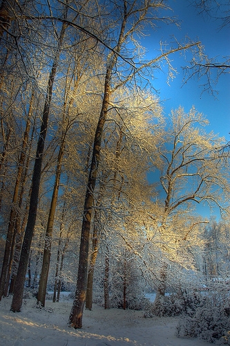 DSC_0772_0_1_tonemapped