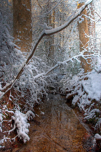 DSC_0780_81_79_tonemapped