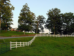 Fence