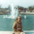 FOT 1976 Two