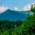 A Trip to Asheville