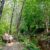 Botanical Gardens