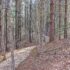 Hiking