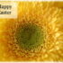 Happy Easter