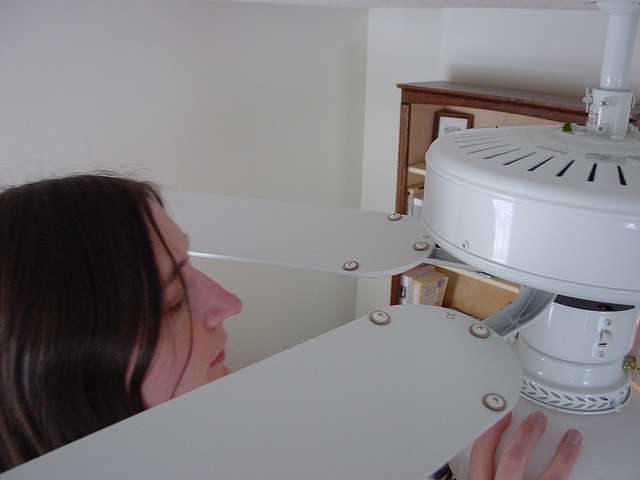 Cleaning the Fan II