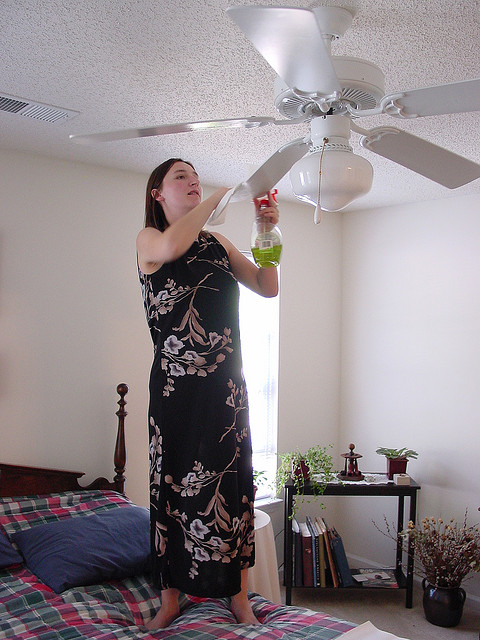 Cleaning the Fan I