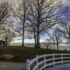 Views from a walk