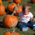 A Little Girl and Some Pumpkins