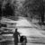 Walk