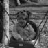 Swing