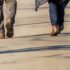 Entertaining the Girl, Part II: The Walk