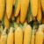 Pasta and Corn