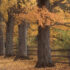 BoM 4: Testimony of the Prophet Joseph Smith, Part 1
