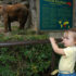 Back to the Zoo