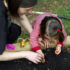 Planting