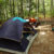 “We’re Sleeping in a Forest”
