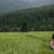 Slovakian Walk