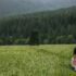 Slovakian Walk