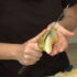 Santa Claus Melon