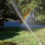 Watering