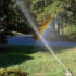 Watering