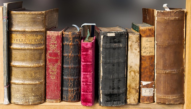 From Bricks to Books: A Literacy Memoir
