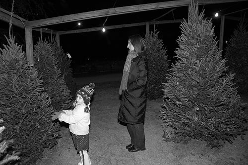 Tree Shopping