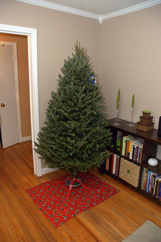 Naked Tree