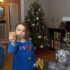 The Tree