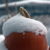 Snow Day 2011