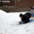 “Sledding”