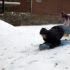 “Sledding”