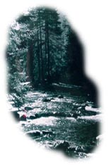 Zakopane