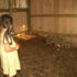 On the Farm