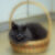 A Basket of One’s Own